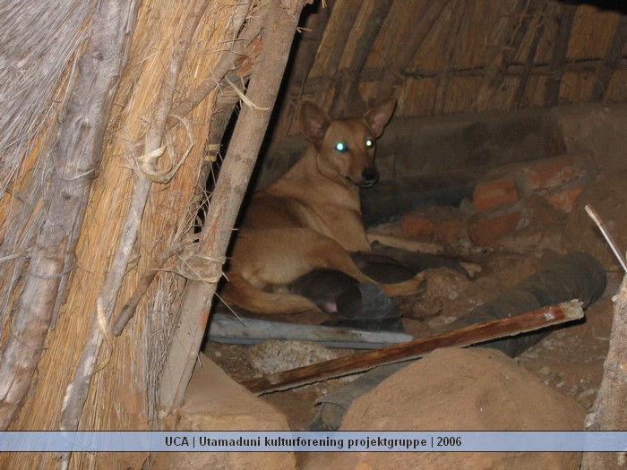 UCA | Utamaduni kulturforening projektgruppe | 2006. Foto nummer Ntylya 2006 146.jpg