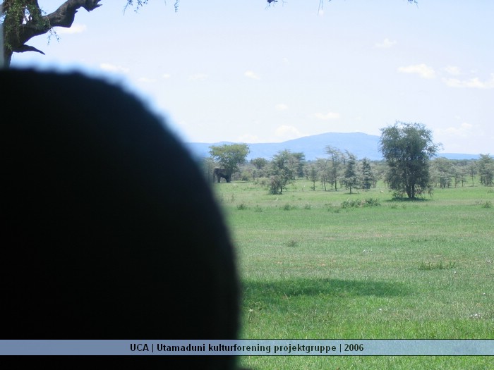 UCA | Utamaduni kulturforening projektgruppe | 2006. Foto nummer Ntylya 2006 315.jpg