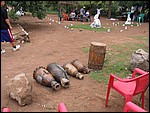 UCA | Utamaduni kulturforening projektgruppe | 2006. Ntylya 2006 166.jpg