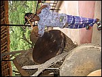 UCA | Utamaduni kulturforening projektgruppe | 2006. Ntylya 2006 181.jpg