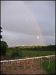 UCA | Utamaduni kulturforening projektgruppe | 2006. Ntylya 2006 272.jpg
