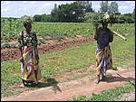 UCA | Utamaduni kulturforening projektgruppe | 2006. Ntylya 2006 288.jpg