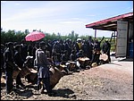 UCA | Utamaduni kulturforening projektgruppe | 2006. Ntylya 2006 295.jpg