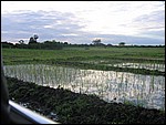UCA | Utamaduni kulturforening projektgruppe | 2006. Ntylya 2006 314.jpg