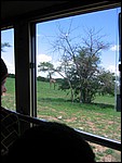 UCA | Utamaduni kulturforening projektgruppe | 2006. Ntylya 2006 316.jpg