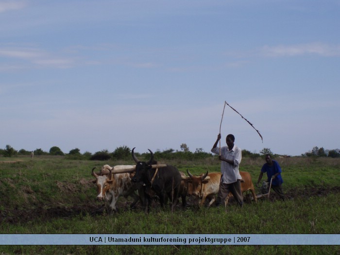 UCA | Utamaduni kulturforening projektgruppe | 2007. Foto nummer Tanzania tur november 2007 172.jpg