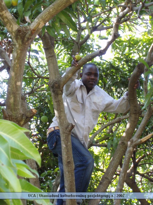 UCA | Utamaduni kulturforening projektgruppe | 2007. Foto nummer Tanzania tur november 2007 213.jpg