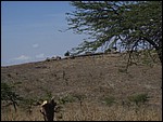 UCA | Utamaduni kulturforening projektgruppe | 2007. Tanzania tur november 2007 022.jpg
