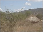 UCA | Utamaduni kulturforening projektgruppe | 2007. Tanzania tur november 2007 061.jpg