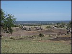 UCA | Utamaduni kulturforening projektgruppe | 2007. Tanzania tur november 2007 075.jpg