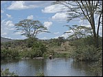 UCA | Utamaduni kulturforening projektgruppe | 2007. Tanzania tur november 2007 080.jpg