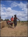 UCA | Utamaduni kulturforening projektgruppe | 2007. Tanzania tur november 2007 202.jpg