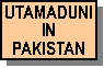 Utamaduni in Pakistan